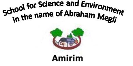 Amirim school
