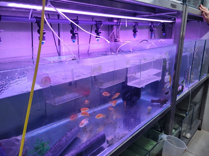 Biotechnology Project led by Students of Tzvia High School Yeshiva in Eilat