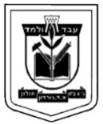 Gordon School in Holon participated in Virtual Hackathon