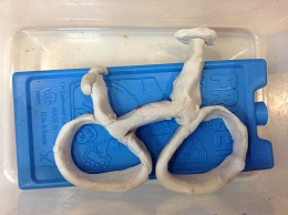 The students made a bike model