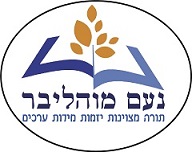 Noam Mohaliver school