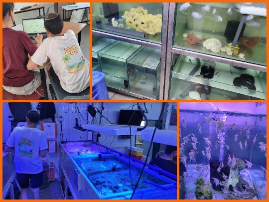 biotechnology venture of students in Israel