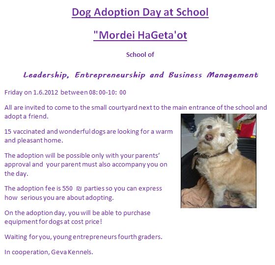 Dog adoption day at school